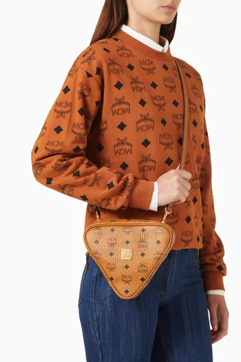 Aren Triangle Crossbody Bag in Visetos