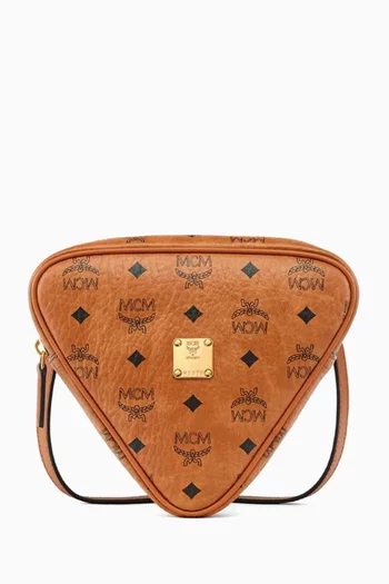 Aren Triangle Crossbody Bag in Visetos
