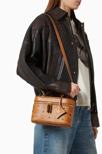 Small Aren Vanity Case Bag in Visetos