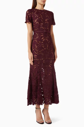 Belted Dress in Lace