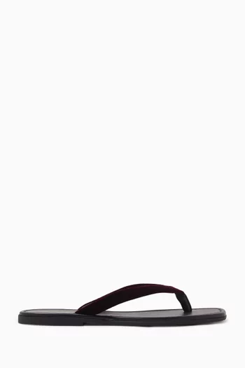 Clea Flip Flops in Velvet