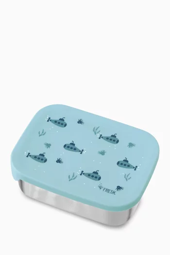 Stainless Steel Lunchbox