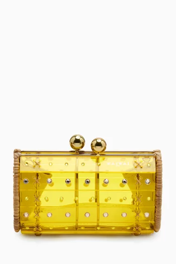 Crystal-embellished Clutch in Acrylic