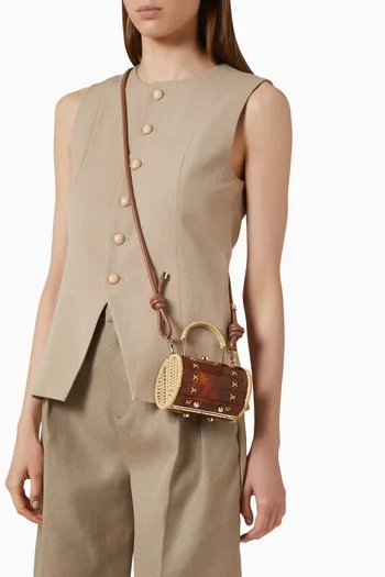 Petit Alix Top Handle Bag in Acrylic