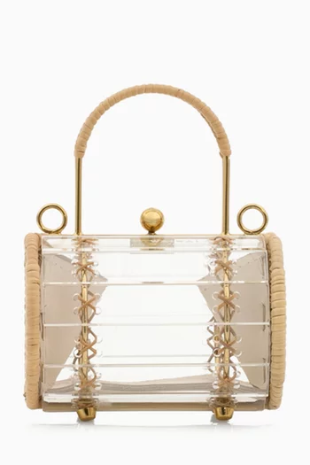 Petit Alix Top Handle Bag in Acrylic