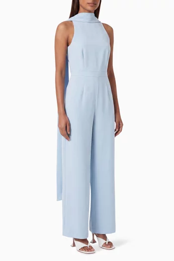 Anaya Wide-leg Jumpsuit in Crepe