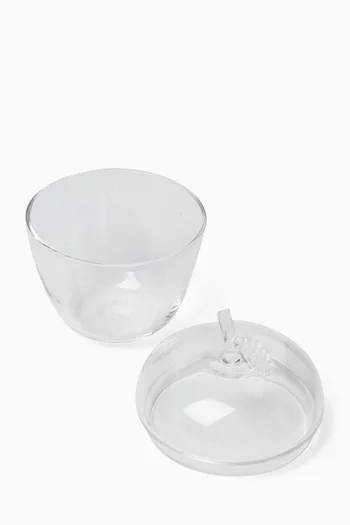 Apple Jar in Borosilicate Glass