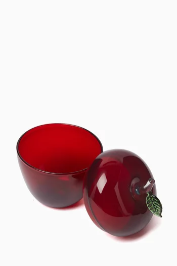 Apple Jar in Borosilicate Glass