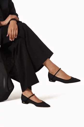 Lorenzo Ballet Flats in Suede & Mesh