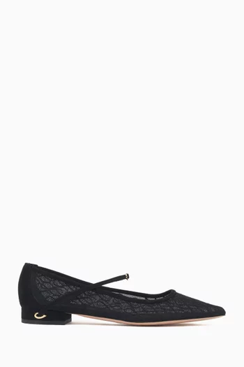 Lorenzo Ballet Flats in Suede & Mesh