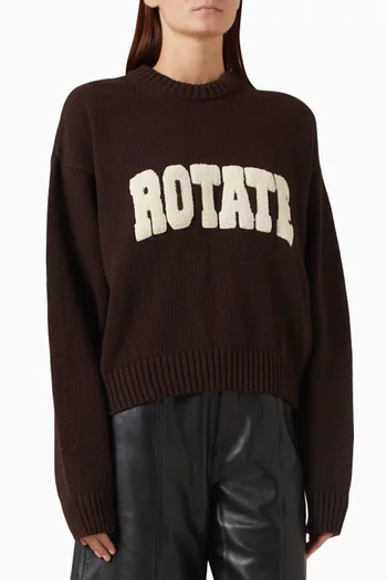 Knit Sweatshirt in Wool