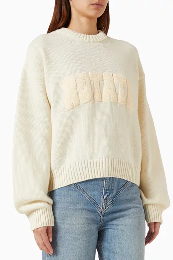 Knit Sweatshirt in Wool