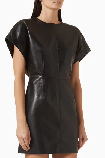 Zelie  Mini Dress in Recycled Leather