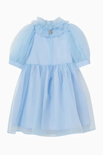 Ruffled Collar Dress