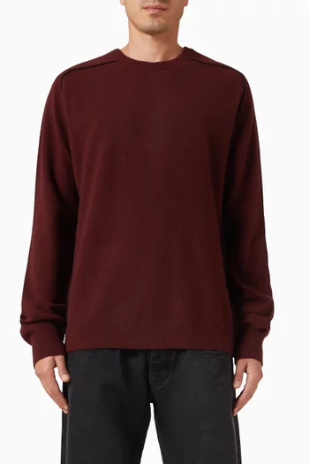 Crewneck Sweater in Virgin Wool