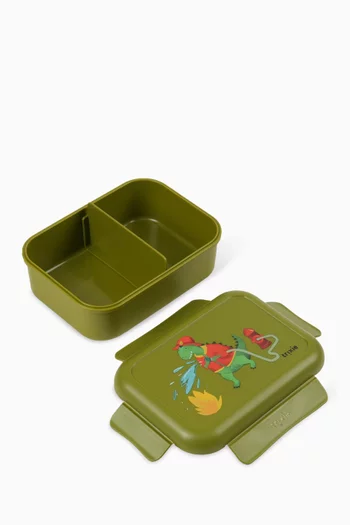 Dinosaur Lunch Box