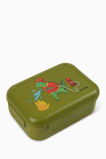 Dinosaur Lunch Box