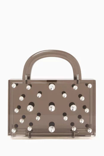 Medium Leon Top-handle Bag in Acrylic