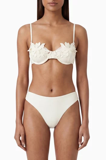 Blanca Bikini Briefs