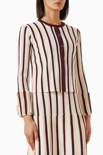 Iris Striped Knitted Jacket