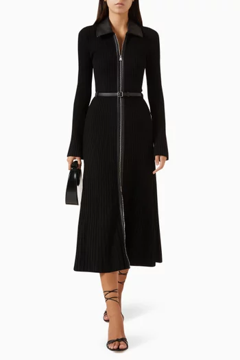 Ismelle Collared Midi Dress in Knit