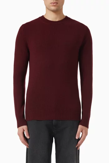 Mareselo Crewneck Sweater in Knit