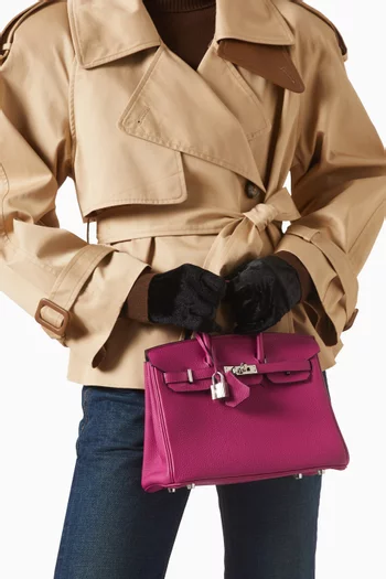 Birkin 25 Bag in Togo Leather