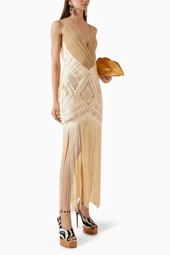 Fringed Dress in Embroidered Tulle