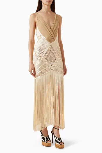 Fringed Dress in Embroidered Tulle