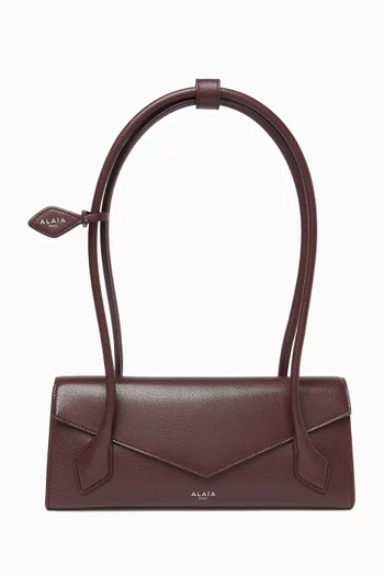 Le Teckel Flap Bag in Leather