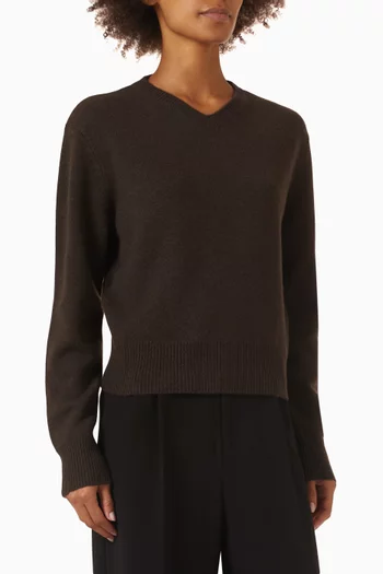 Gaelle V-neck Sweater in Organic Cashmere