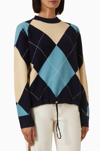 Knit Sweater in Merino Wool