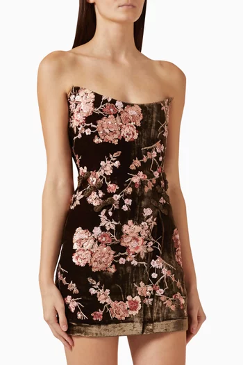 Anna Embroidered Mini Dress
