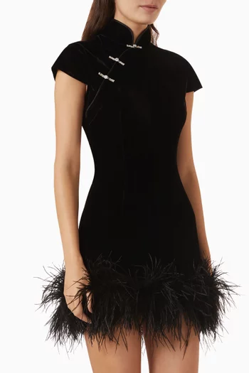 Morgan Mini Dress in Velvet