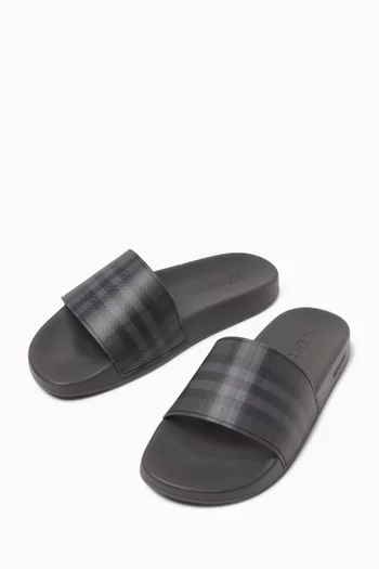 Check Slides