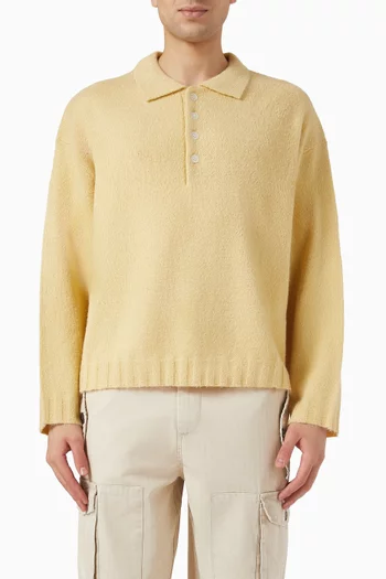 Polo Sweater in Knit