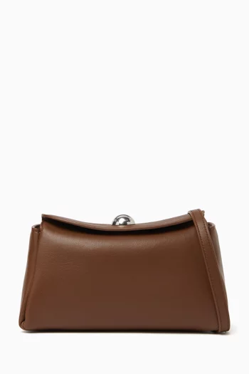 Mini Carrousel Bag in Leather