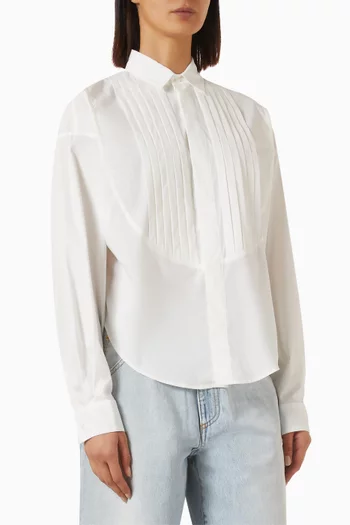 Albert Tailcoat Shirt