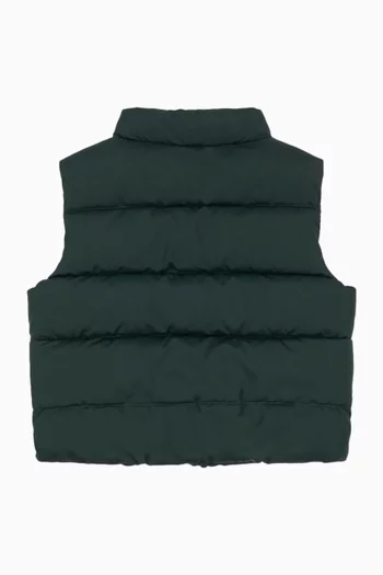 Alpi Puffer Vest