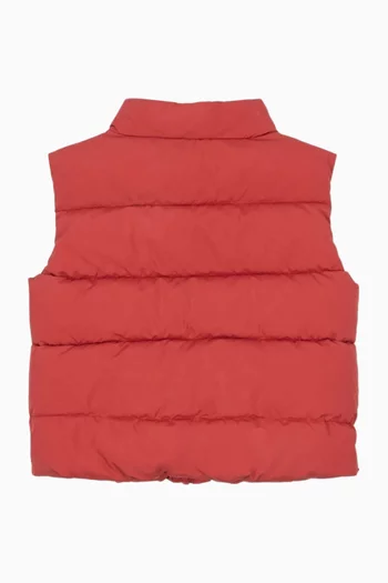 Alpi Puffer Vest