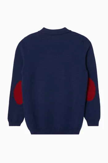 Brio Polo Sweater in Merino Wool