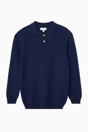 Brio Polo Sweater in Merino Wool