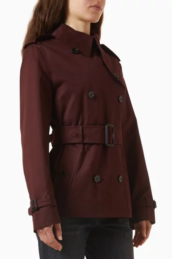 Lakefield Belted Jacket