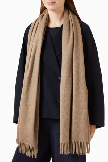 Baci Embroidered Stole in Cashmere