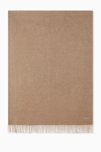 Baci Embroidered Stole in Cashmere