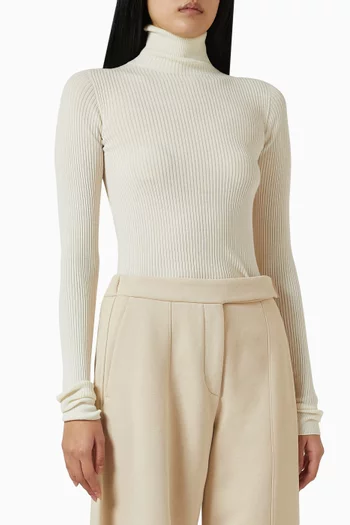 Turtleneck Sweater in Ribbed-knit