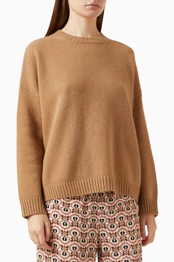 Knit Crewneck Sweater in Virgin Wool