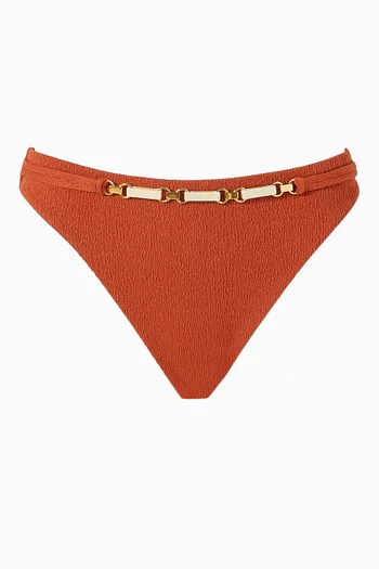 Janet Lindsay Bikini Briefs
