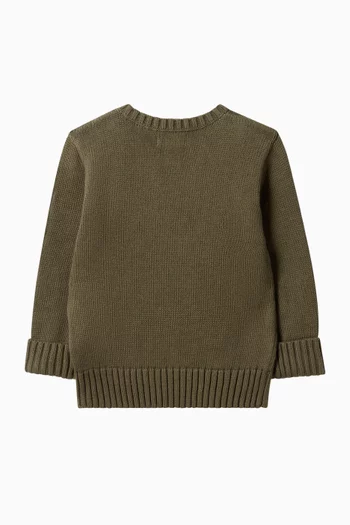 Polo Bear Sweater in Cotton