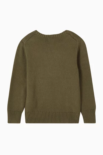 Polo Bear Sweater in Cotton